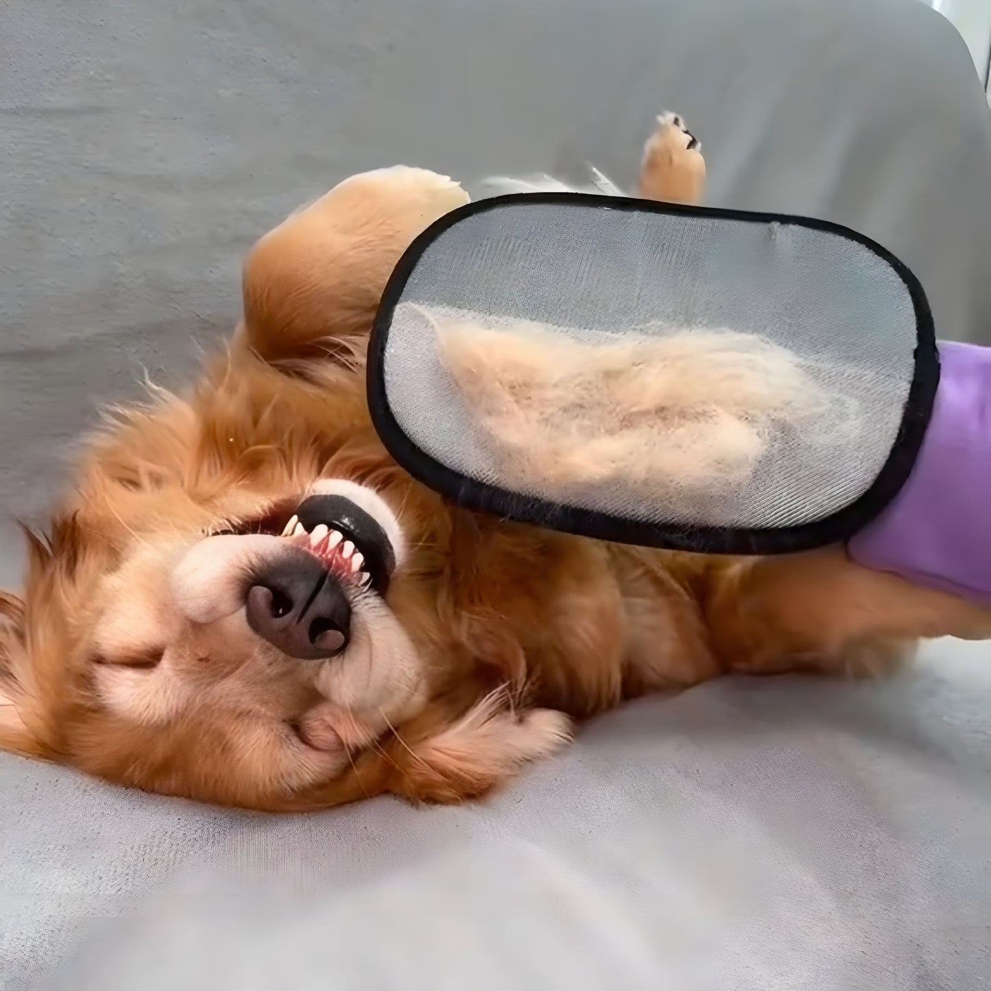Pet Hair Cleaning Glove 🐾